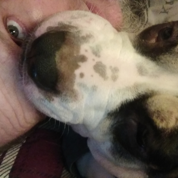 Meet your Posher, Derek - Picture 2 of 3